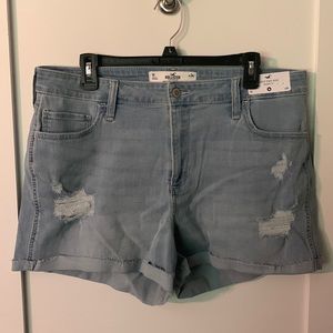 Hollister Shorts! Curvy High-Rise! Distressed! Size 19, NWT!